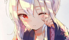 动漫照片,捕捉光影中的青春记忆